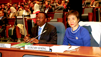 ICAO supports UN efforts for sustainable development