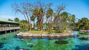 Cayman Islands invites you to enjoy three destinations in one