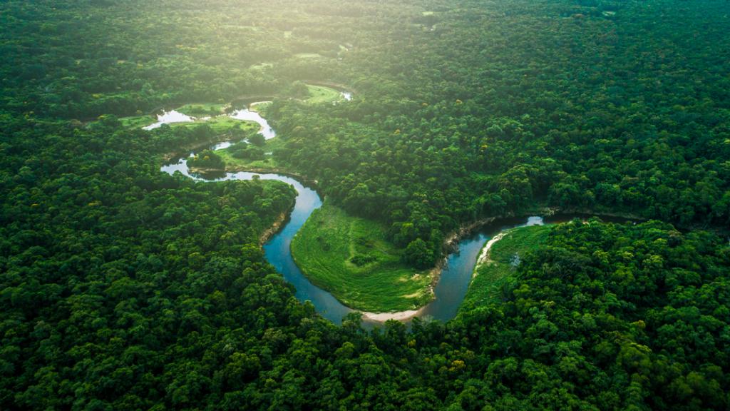 Fall in love with Brazil’s natural wonders in the world’s largest rainforest