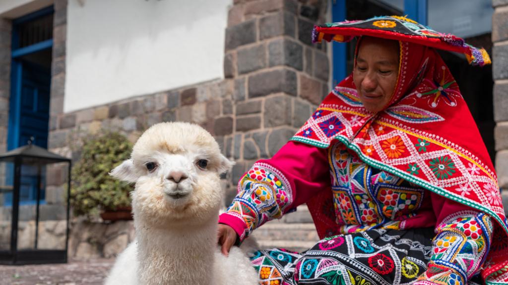 Marriott Celebrates National Alpaca Day in Peru