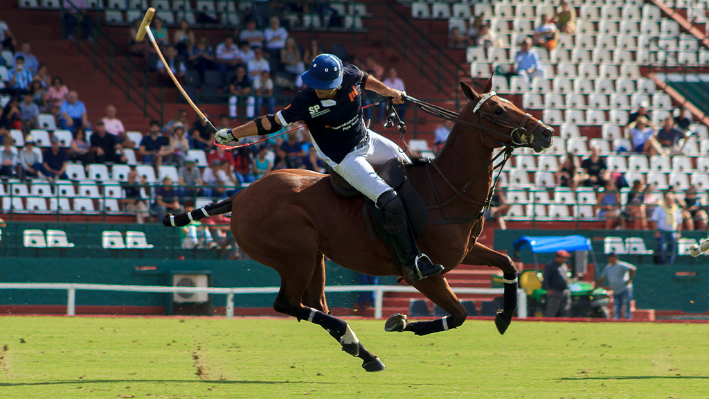 Polo, a sport of English heritage