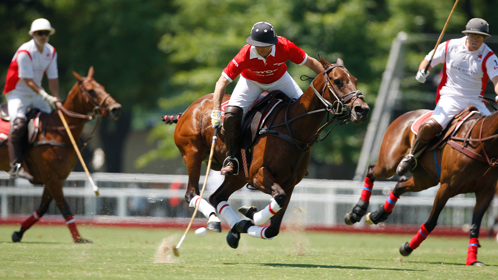 Polo, a sport of English heritage